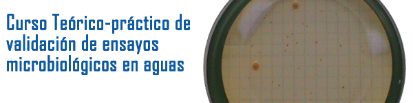 Imagen del contenido web